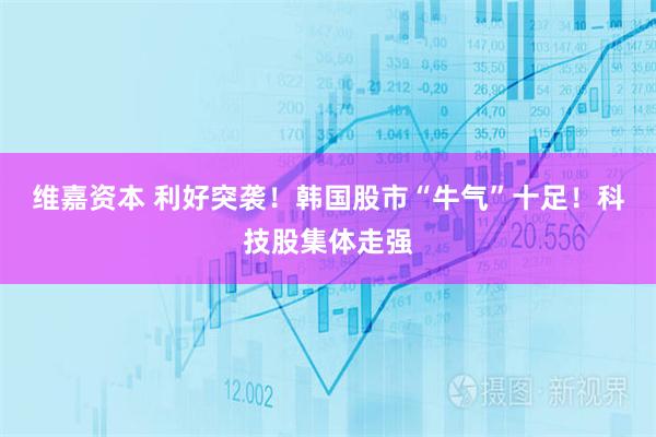 维嘉资本 利好突袭！韩国股市“牛气”十足！科技股集体走强