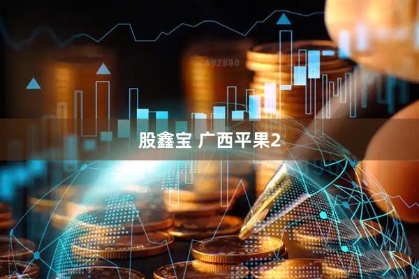 股鑫宝 广西平果2